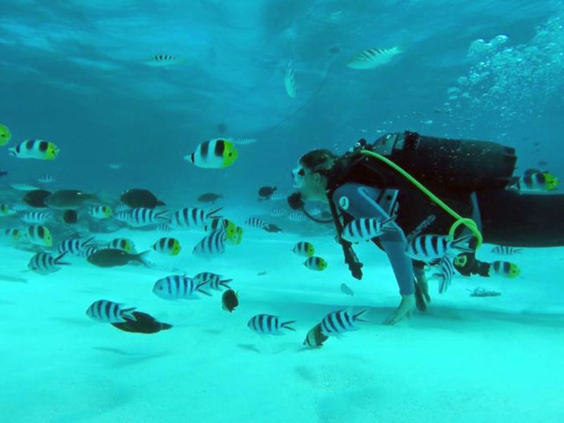 Plongeur au-dessus du sable blanc, entouré de poissons du lagon