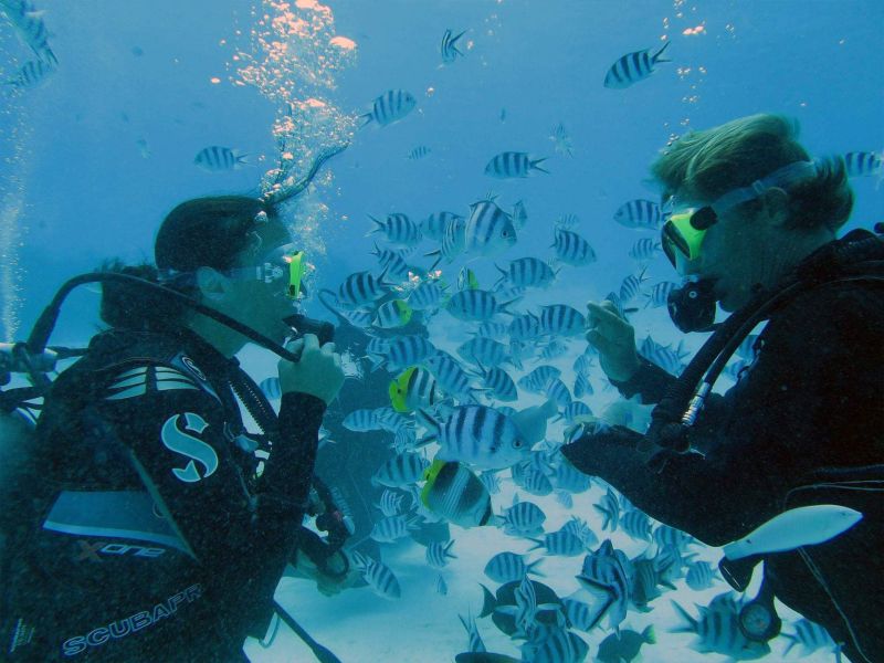 Baptême de plongée avec un moniteur dans le lagon de Bora-Bora