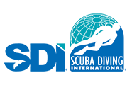 SDI