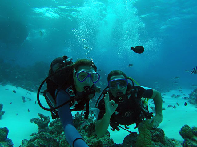 Formations de plong&eacute;e