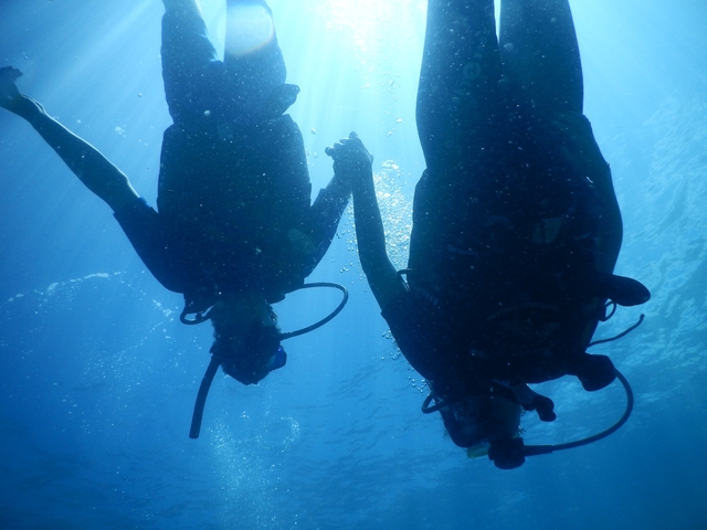 Two divers hand in hand, backlit