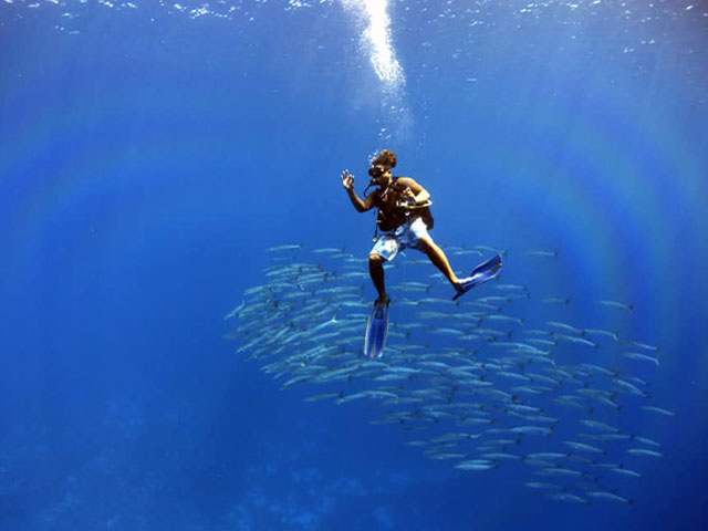 Plong&eacute;es d'exploration