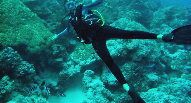 Diver along a coral head